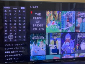 NetflixでジブリをテレビでみるためのVPN設定|Fire TV Stick・Chromecastの手順まとめ