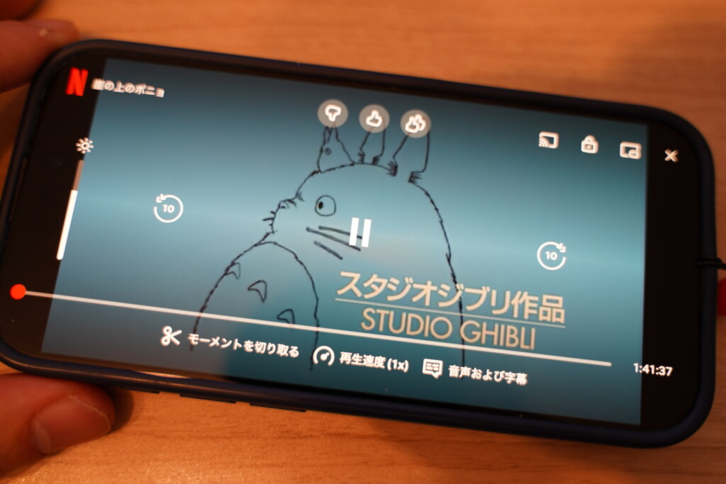 Netflixのジブリは無料VPNで見られる？筑波大学VPN GateをiPhoneで実機検証